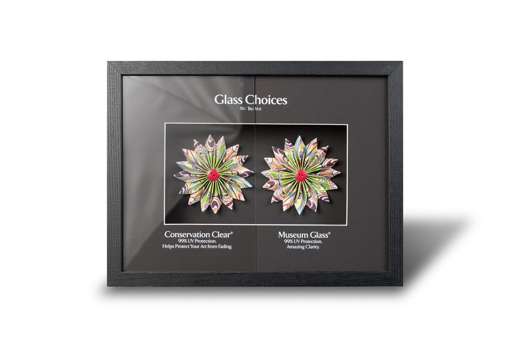 Tru Vue - Museum Glass Counter Display
