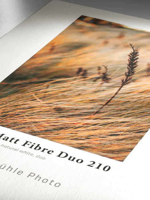 Hahnemühle Photo Matt Fibre Duo 210 gsm (Cut-Sheet Pack)