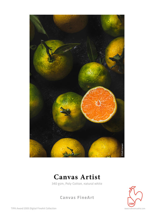 Hahnemühle Canvas Artist 340 gsm (Roll)