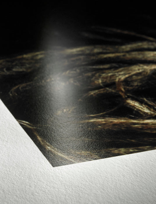 Hahnemühle Photo Rag® Baryta  - 315 gsm (Roll / Cut-Sheet Pack)