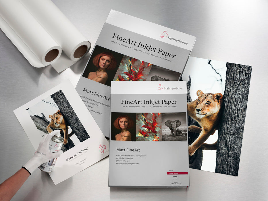 Hahnemühle German Etching 310 gsm (Roll / Cut-Sheet Pack)