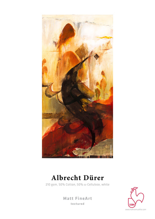 Hahnemühle Albrecht Dürer 210 gsm (Roll / Cut-Sheet Pack)