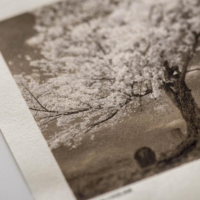 Awagami FineArt Kozo Thin Natural - A3+ - (10 Sheets)