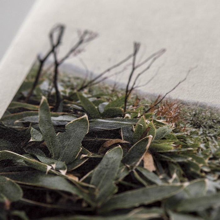 Awagami FineArt Mitsumata White Double Layered - A3+ - (10 Sheets)