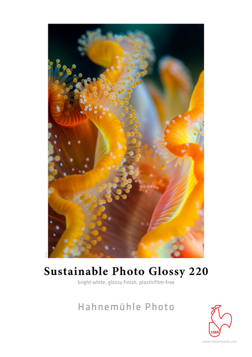 Hahnemühle Sustainable Photo Glossy  - 220 gsm (Roll / Cut-Sheet Pack)