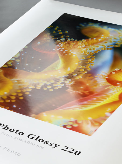 Hahnemühle Sustainable Photo Glossy  - 220 gsm (Roll / Cut-Sheet Pack)