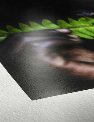 Hahnemühle Photo Rag® Pearl - Content Paper - 320 gsm
