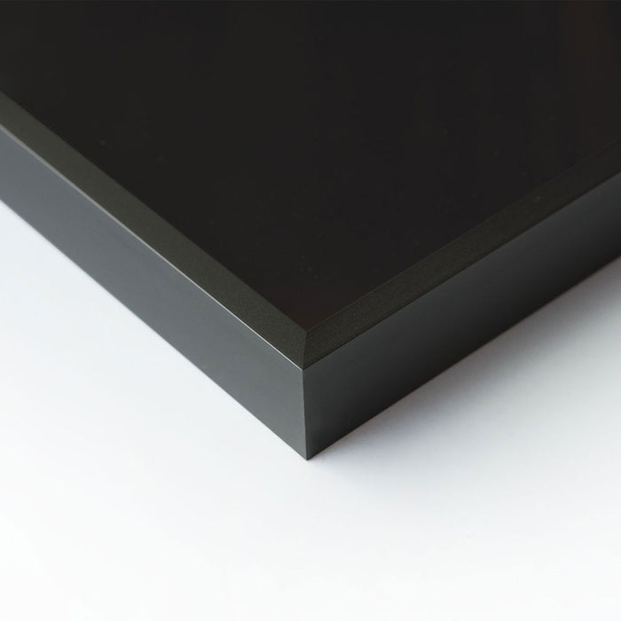 Nielsen Alpha 29.7cm x 42cm Aluminum Picture Frame - Silver & Black Matte - A3