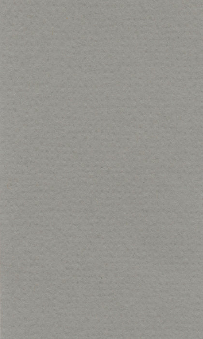 Hahnemühle Pastel Paper - Lana Colours - 160 gsm