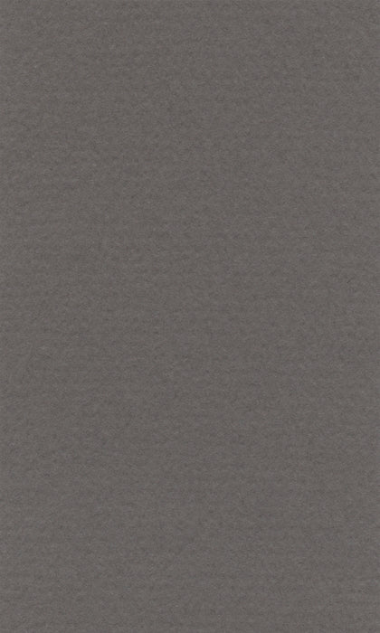 Hahnemühle Pastel Paper - Lana Colours - 160 gsm