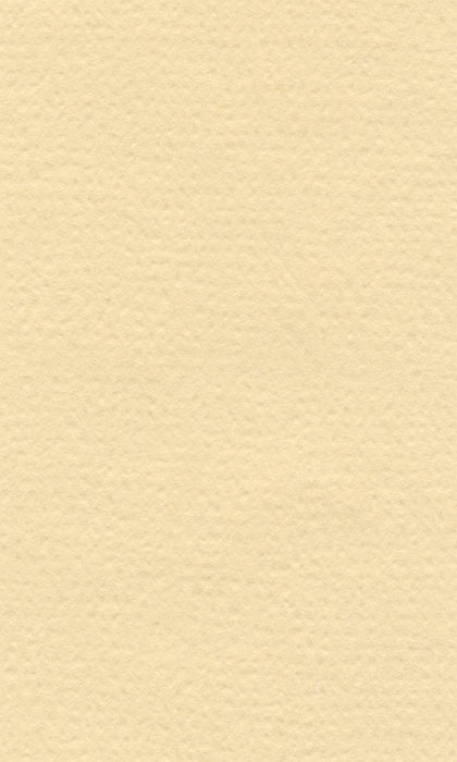 Hahnemühle Pastel Paper - Lana Colours - 160 gsm