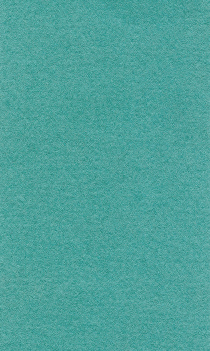 Hahnemühle Pastel Paper - Lana Colours - 160 gsm - 70 x 100 cm