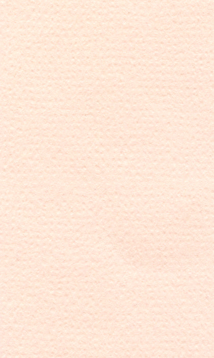 Hahnemühle Pastel Paper - Lana Colours - 160 gsm