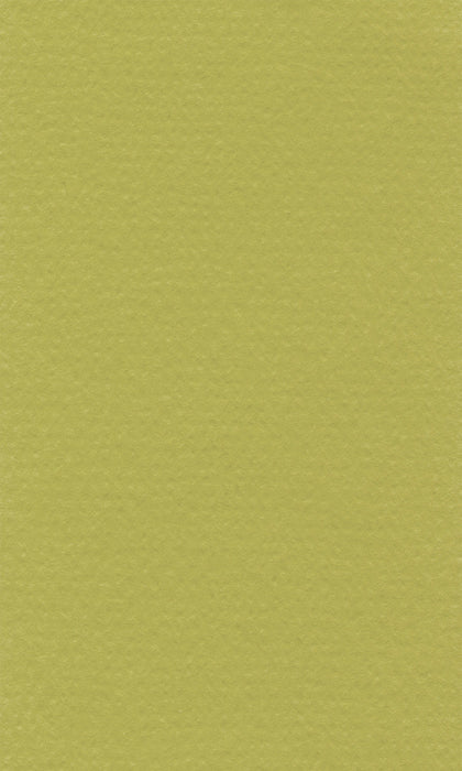 Hahnemühle Pastel Paper - Lana Colours - 160 gsm - 70 x 100 cm