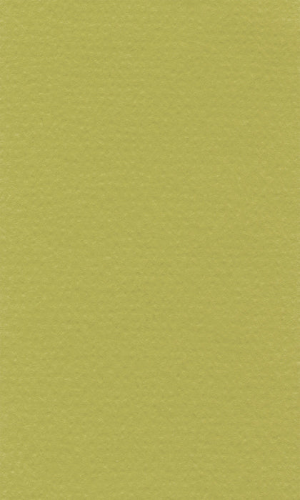 Hahnemühle Pastel Paper - Lana Colours - 160 gsm