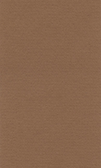 Hahnemühle Pastel Paper - Lana Colours - 160 gsm
