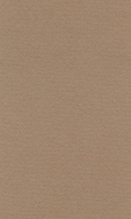 Hahnemühle Pastel Paper - Lana Colours - 160 gsm