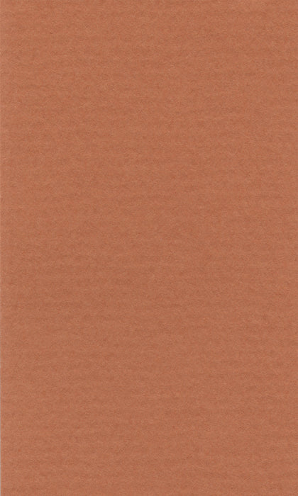 Hahnemühle Pastel Paper - Lana Colours - 160 gsm - 70 x 100 cm
