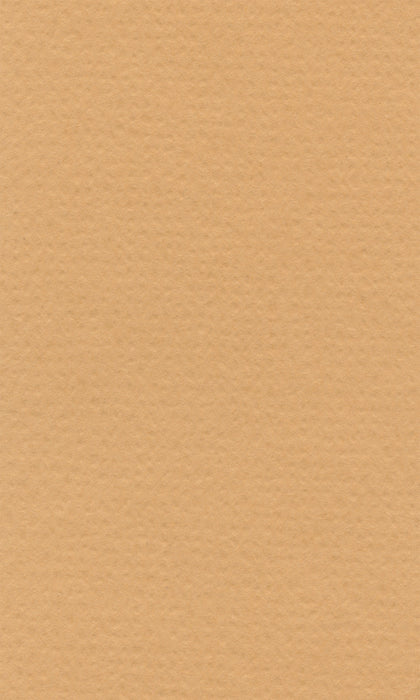 Hahnemühle Pastel Paper - Lana Colours - 160 gsm