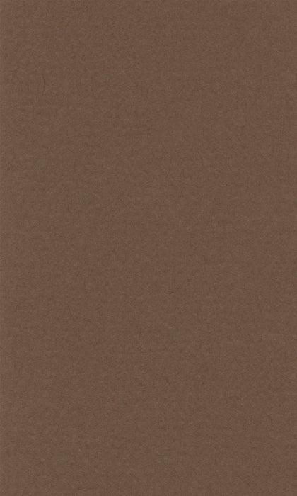 Hahnemühle Pastel Paper - Lana Colours - 160 gsm