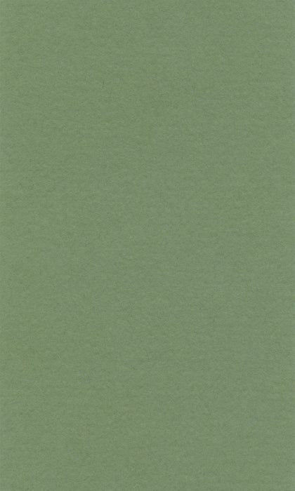 Hahnemühle Pastel Paper - Lana Colours - 160 gsm