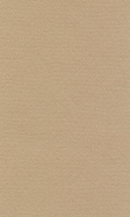 Hahnemühle Pastel Paper - Lana Colours - 160 gsm