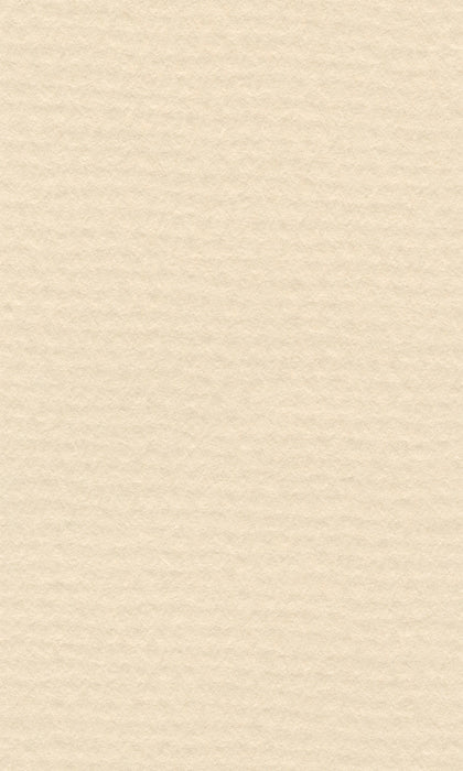 Hahnemühle Pastel Paper - Lana Colours - 160 gsm