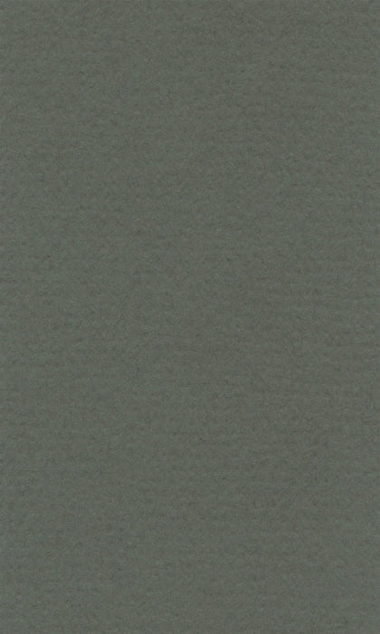 Hahnemühle Pastel Paper - Lana Colours - 160 gsm