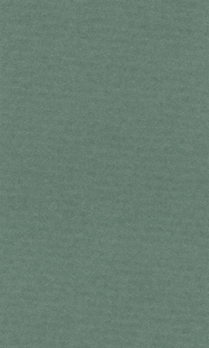 Hahnemühle Pastel Paper - Lana Colours - 160 gsm