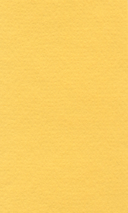 Hahnemühle Pastel Paper - Lana Colours - 160 gsm
