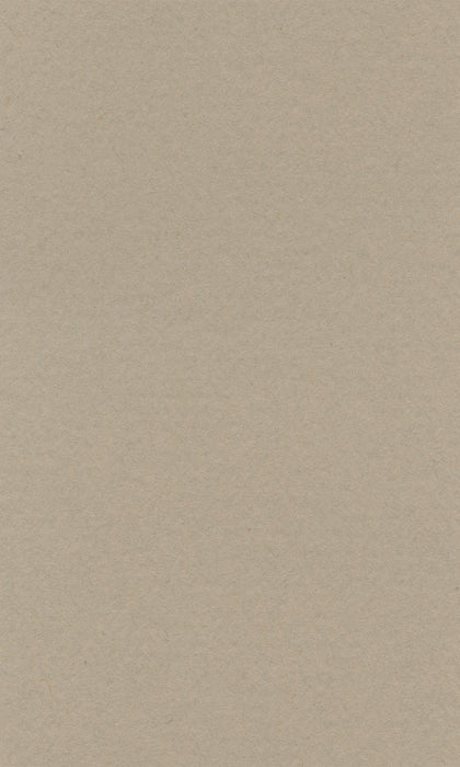 Hahnemühle Pastel Paper - Lana Colours - 160 gsm