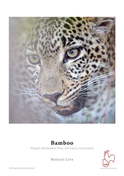 Hahnemühle Bamboo FineArt Paper  - 290 gsm (Roll / Cut-Sheet Pack)
