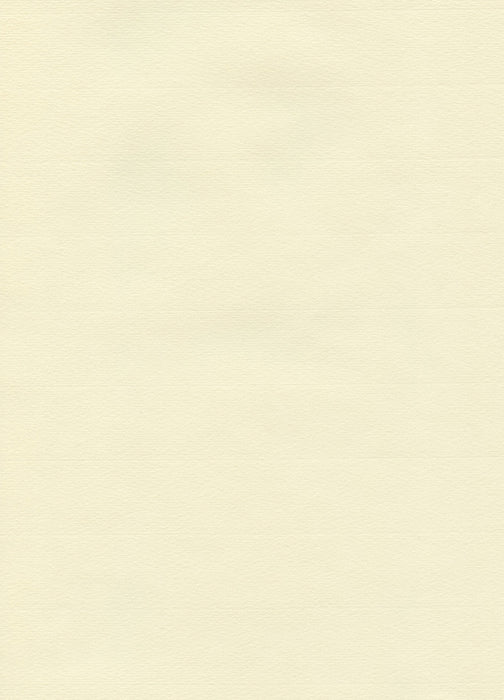 Hahnemühle The Collection - Ingres Pastel - 100 gsm - 62.5 x 48 cm (25 Sheets)