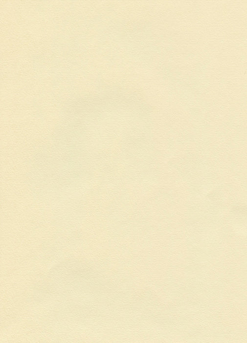 Hahnemühle The Collection - Ingres Pastel - 100 gsm - 62.5 x 48 cm (25 Sheets)