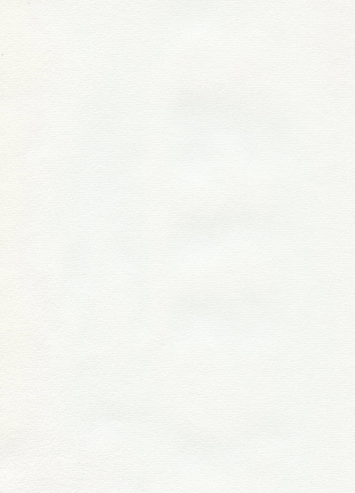 Hahnemühle The Collection - Ingres Pastel - 100 gsm - 62.5 x 48 cm (25 Sheets)