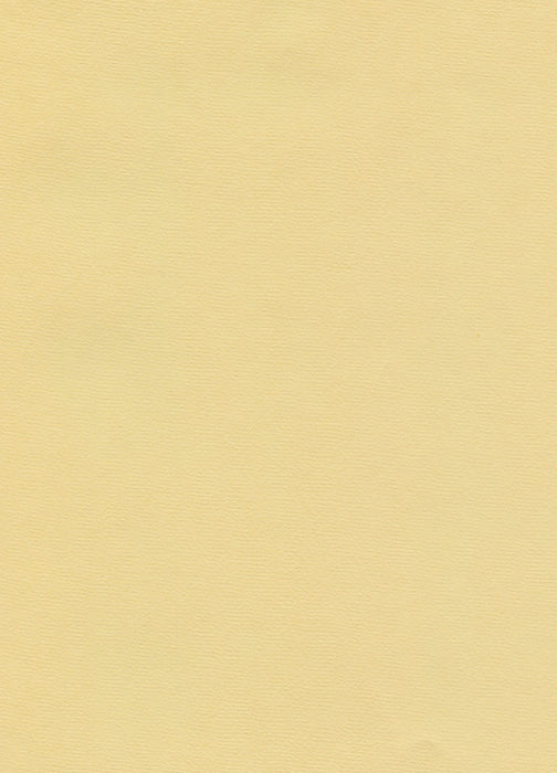 Hahnemühle The Collection - Ingres Pastel - 100 gsm - 62.5 x 48 cm (25 Sheets)