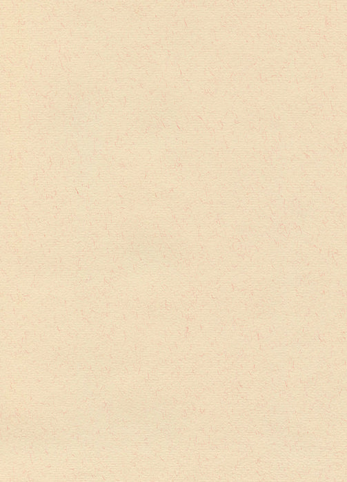 Hahnemühle The Collection - Ingres Pastel - 100 gsm - 62.5 x 48 cm (25 Sheets)