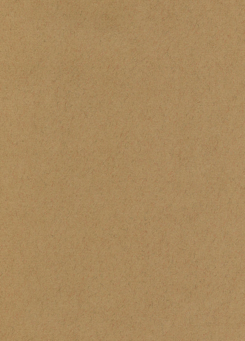 Hahnemühle The Collection - Ingres Pastel - 100 gsm - 62.5 x 48 cm (25 Sheets)