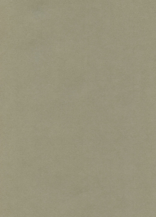 Hahnemühle The Collection - Ingres Pastel - 100 gsm - 62.5 x 48 cm (25 Sheets)