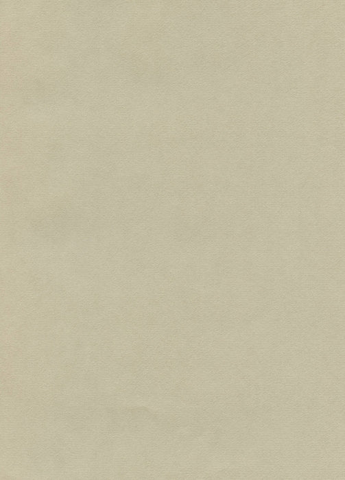 Hahnemühle The Collection - Ingres Pastel - 100 gsm - 62.5 x 48 cm (25 Sheets)
