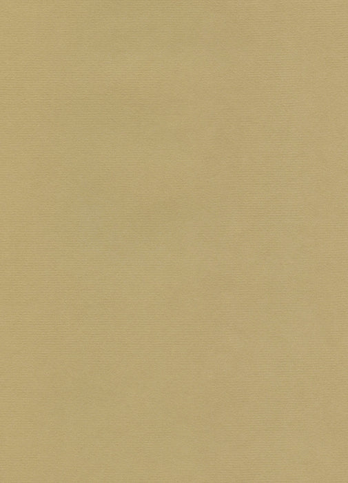 Hahnemühle The Collection - Ingres Pastel - 100 gsm - 62.5 x 48 cm (25 Sheets)