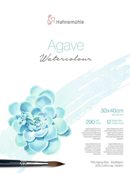 Hahnemuhle agave
