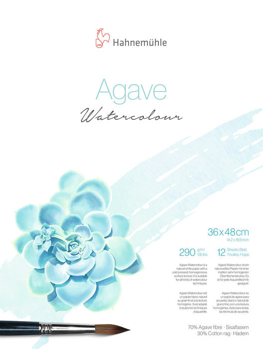 Hahnemuhle agave