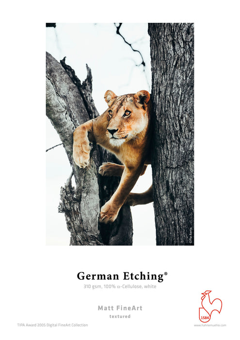 Hahnemühle German Etching 310 gsm (Roll / Cut-Sheet Pack)