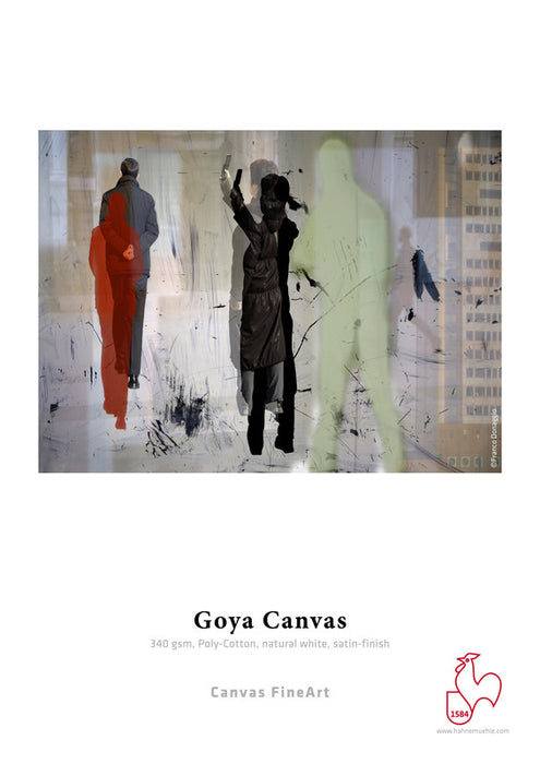Hahnemühle Goya Canvas 340 gsm (Roll)