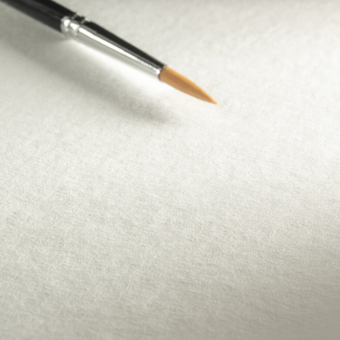 Hahnemühle Watercolour Paper - Anniversary Edition Watercolour - 425 gsm