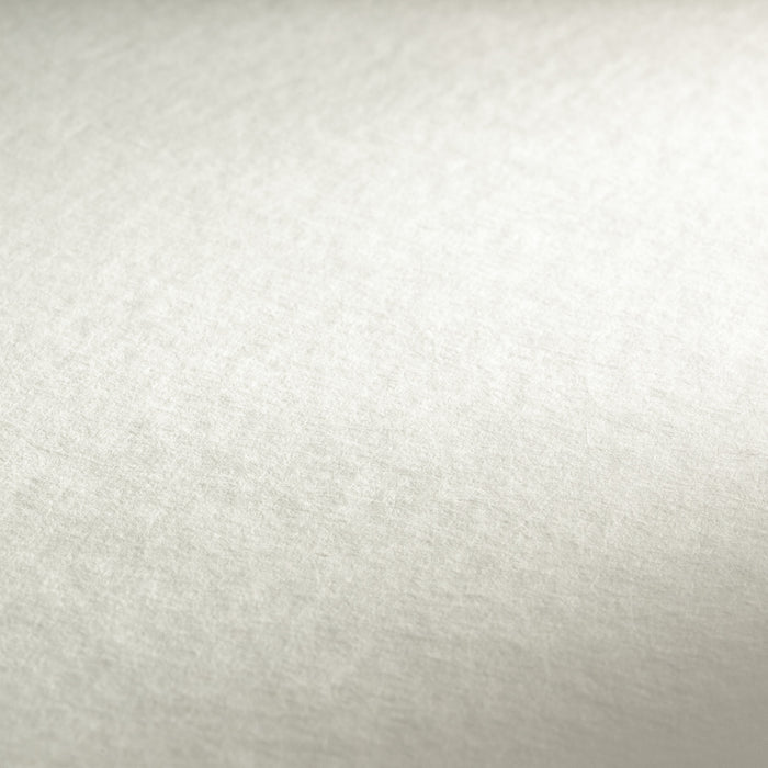 Hahnemühle Watercolour Paper - Anniversary Edition Watercolour - 425 gsm